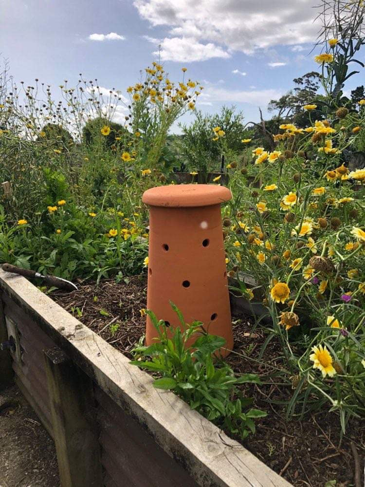 Worm Farm – Pacha Compost